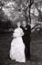 ll-wedding-photographer-ny