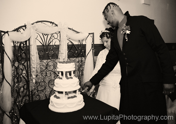 ll-wedding-photos-new-york-city