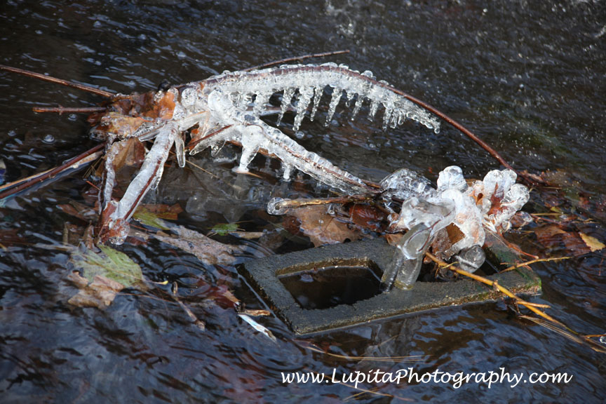 "Lupita Photography: Bodas-Weddings, Quinceaños - Sweet Sixteen's & other events photography. New York City (Bronx, Staten Island, Manhattan, Brooklyn, Queens), Long Island, New Jersey, Connecticut, Washington, D.C.